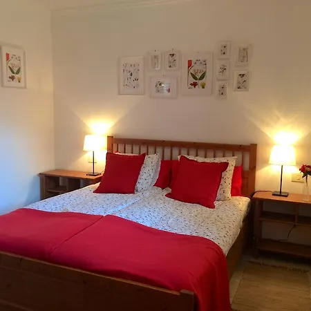Casa La Palmera